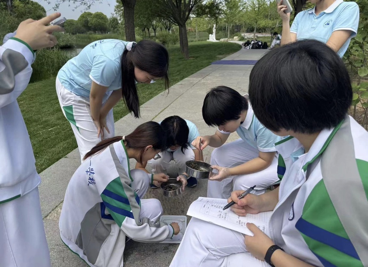 Classical society Students examining materials outdoors