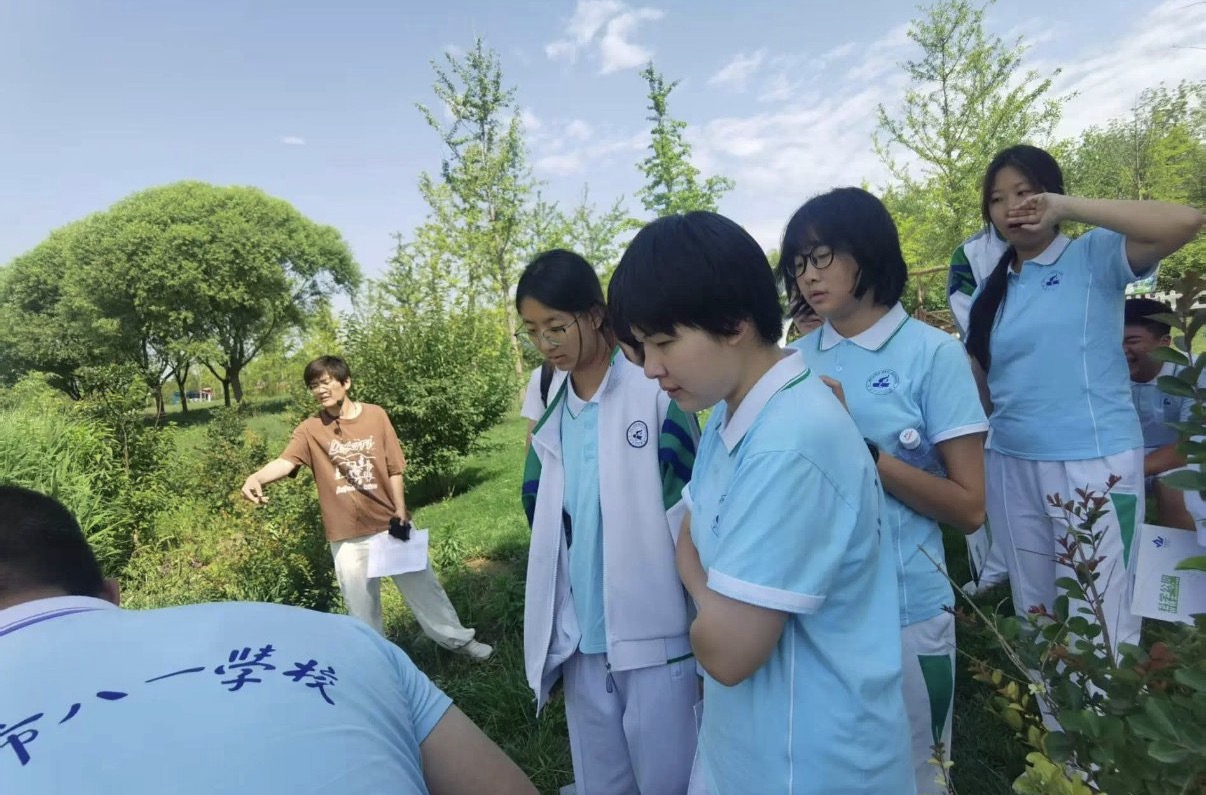 Classical society Outdoor observation activity